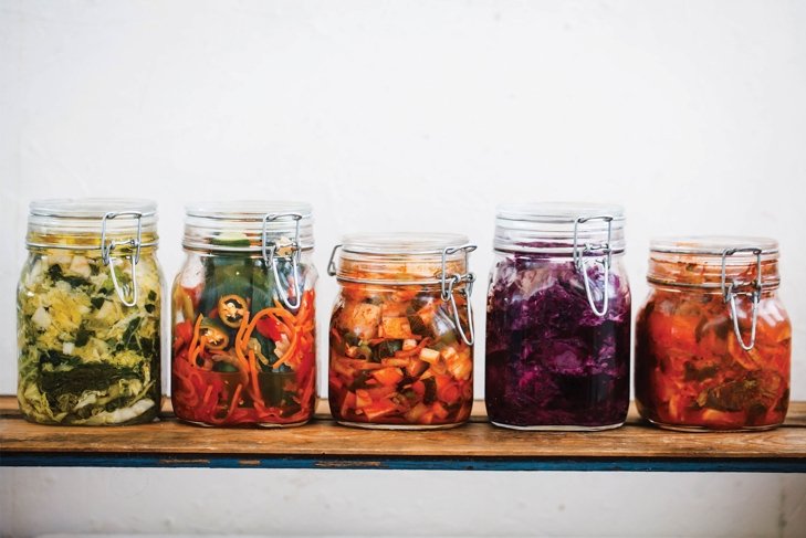 Fermented: Behind the Buzzword
