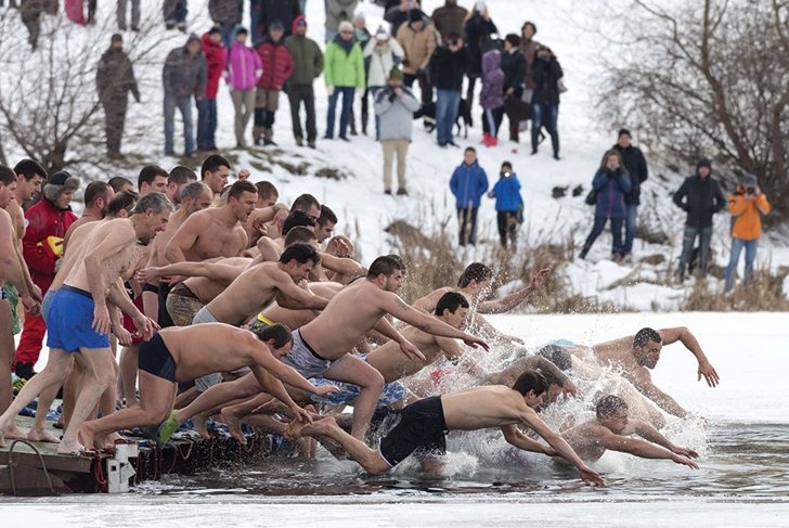 Polar Bear Swims